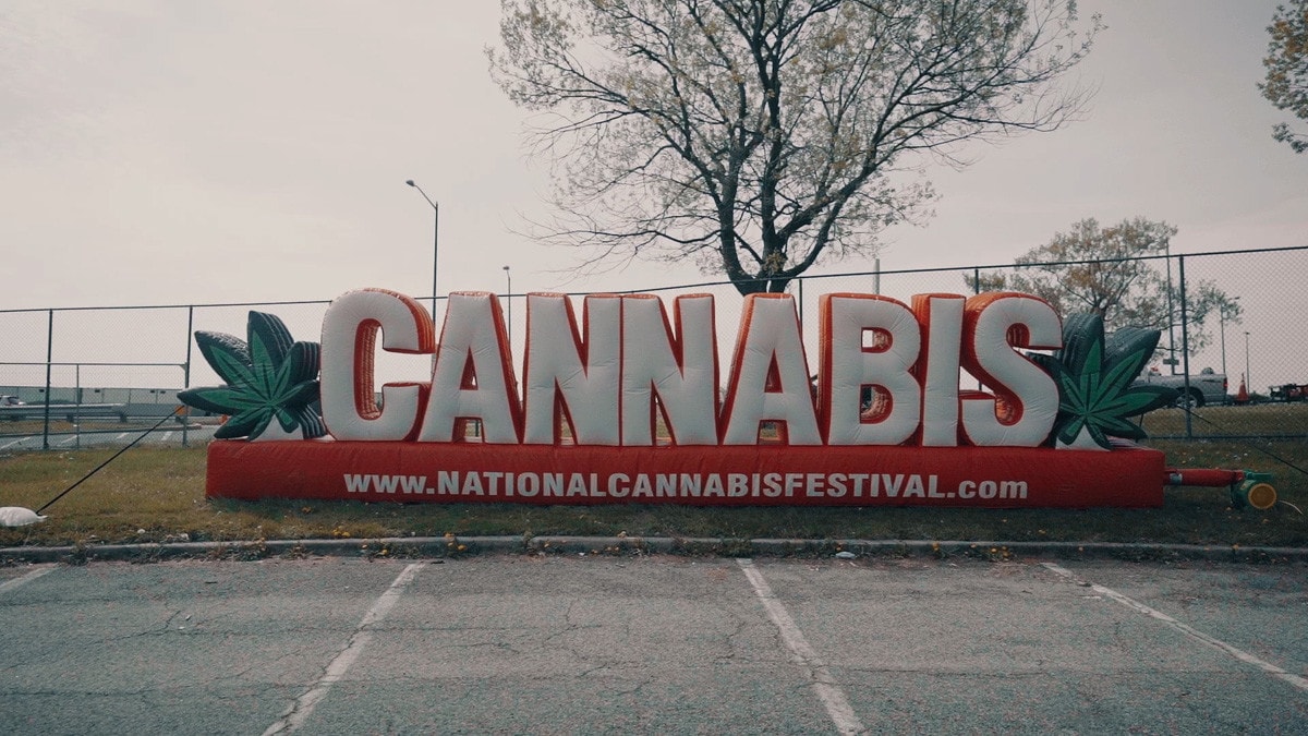 National Cannabis Festival Recap